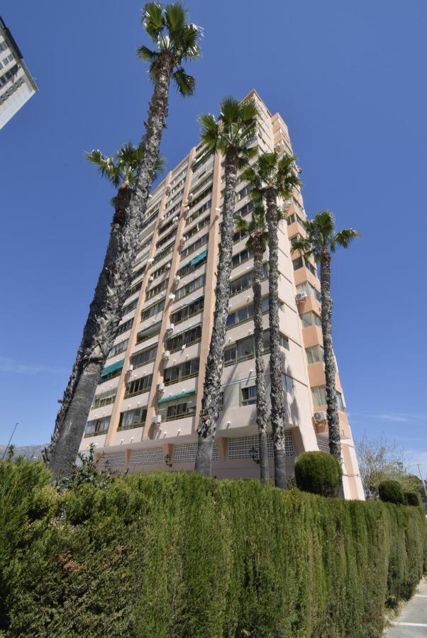 Mariscal 6 - Fincas Arena Benidorm Exteriör bild